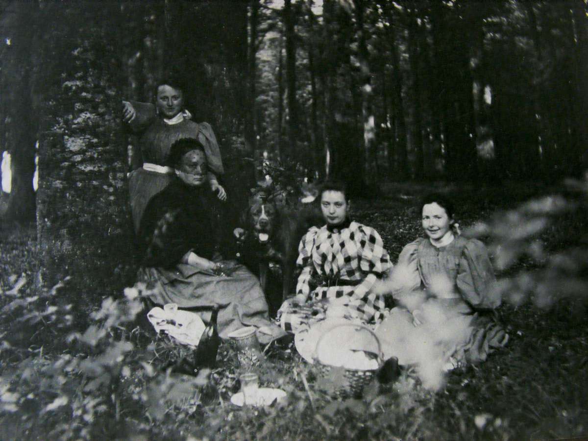 Picnic in the woods