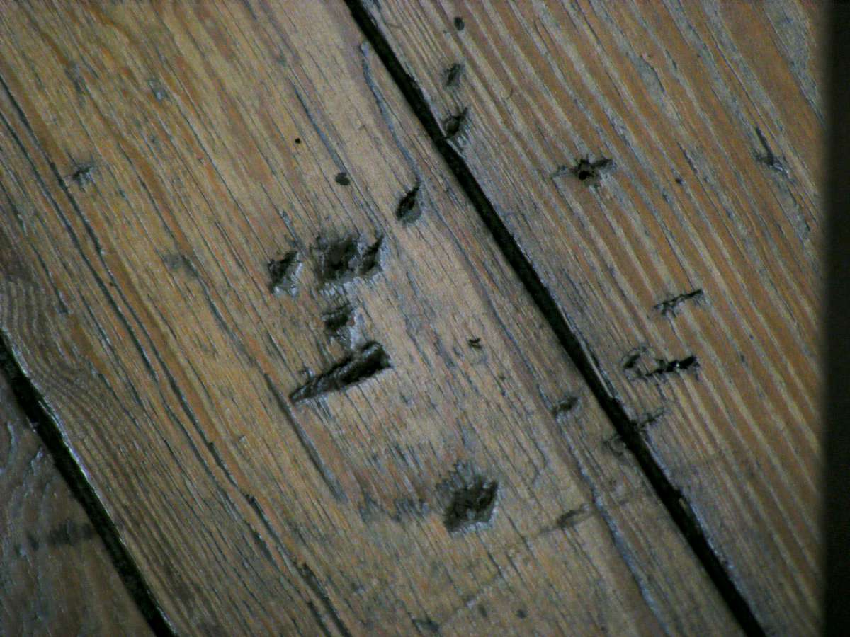 Hatchetmarks in the floor of a house in Rue des Soupirs
